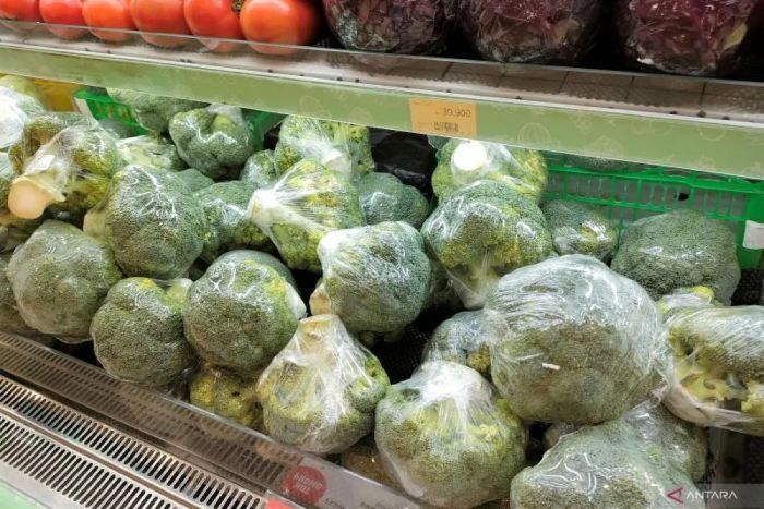 Manfaat Brokoli: Lindungi Otak dari Peradangan dan Tingkatkan Daya Ingat