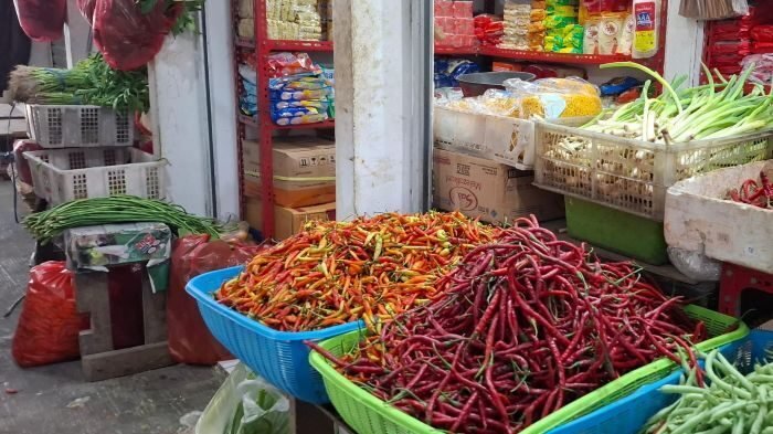 Cabai Rawit salah satu penyumbang inflasi di Balikpapan. Foto: BorneoFlash/Niken Sulastri