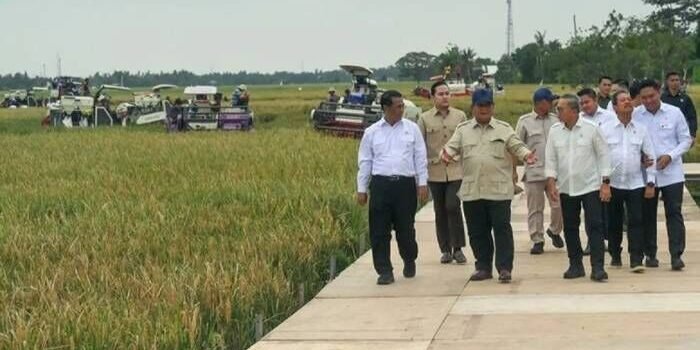 Surplus Beras Melonjak 243 Persen, Indonesia Resmi Swasembada di Era Prabowo