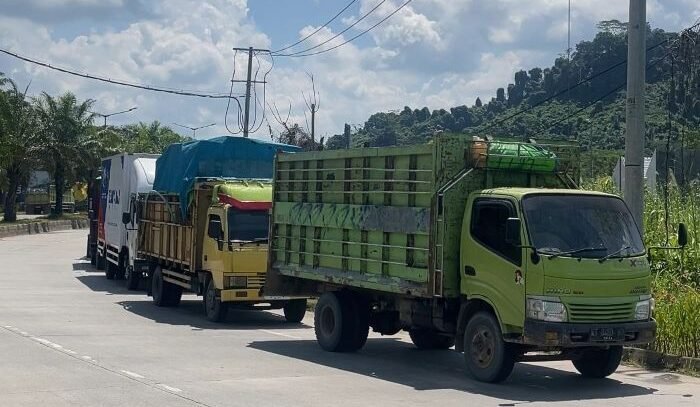 Sejumlah truk berhenti dan tidak dapat melintas di Jembatan Mahulu. Foto: BorneoFlash/Nur Ainunnisa