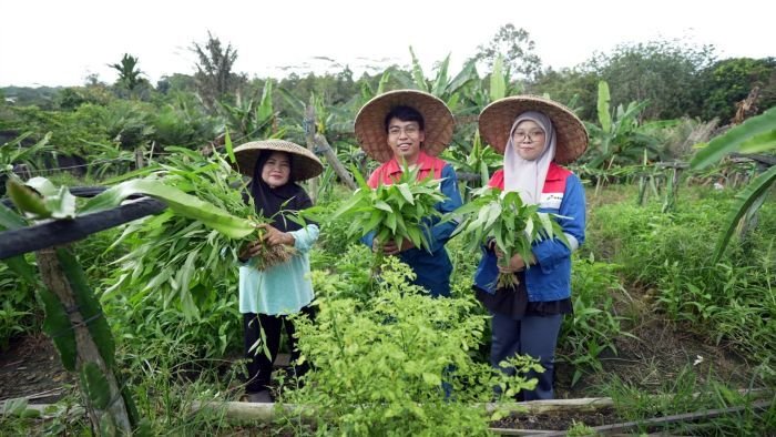 Kawasan Taman Edukasi dan Pertanian Terintegrasi (KAWAN PATRA) di KM 21 Karang Joang merupakan salah satu program yang berhasil mendapat penghargaan dalam ajang Balikpapan CSR Awards 2026 dalam peringatan HUT ke-129 Kota Balikpapan. Foto: HO/Pertamina Patra Niaga