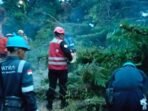 Tim Respon Bencana Batalyon A Pelopor Sat Brimob Polda Kaltim dalam menangani kejadian pohon tumbang yang terjadi di Jalan Klamono Gunung Pipa 3 RT 56, Kelurahan Muara Rapak Kecamatan Balikpapan Utara, pada Minggu (08/02/26). Foto: HO/humas Polda Kaltim