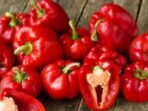 Ilustrasi paprika merah (ANTARA News/Shutterstock)